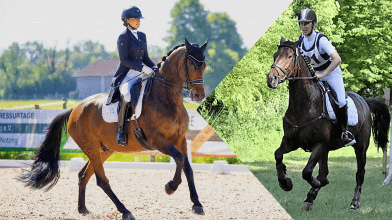 Gina Hanauer – Wer ist Gina Hanauer im Reitsport? gina hanauer